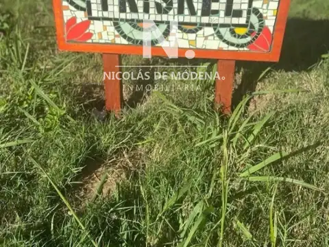 Casa en Alquiler Temporal en Punta Ballena, USD 0