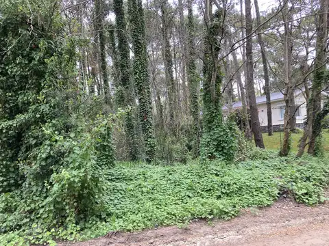 Gran lote en zona muy tranquila cerca del golf