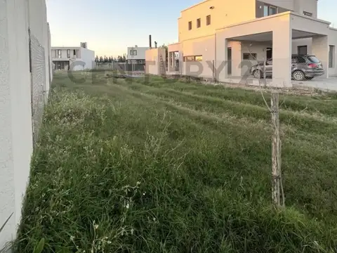 Terreno en Venta 38  mts Fondo