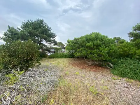 Terreno en Venta de 1017,0 m2