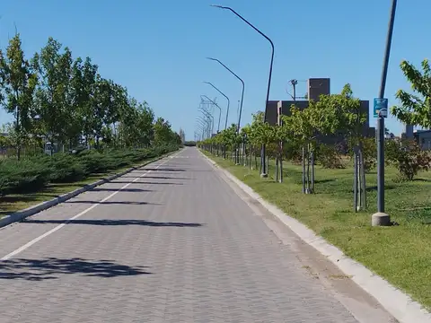 Terreno en Venta de 300,0 m2