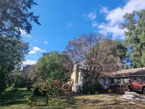 Galpon en Alquiler 30 años