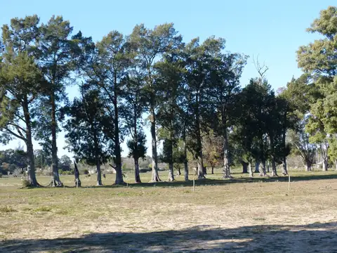 Terreno en Venta de 1500,0 m2