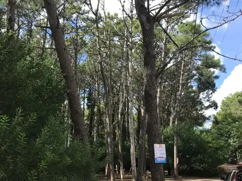 Terreno en Venta, FOT 1