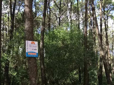 Terreno en Venta 20  mts Fondo