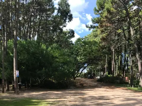 Av. Mar del Plata e/ 39 y 40