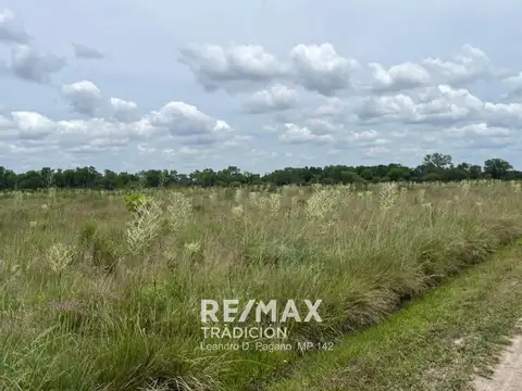 Parcela 7 chacra 38 circ. II Sección A