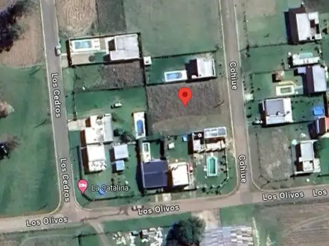 Coihues e/ Los Olivos y Las Caobas