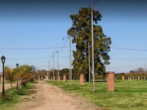 Del Caballito Blanco 300