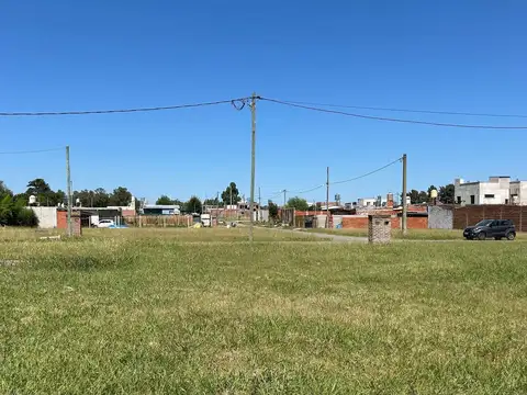 Del Caballito Blanco 300