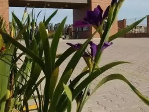 Terreno en Venta de 804,0 m2