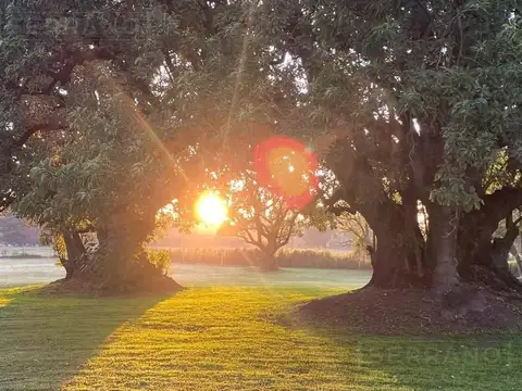 Venta casa 4 ambientes sobre lote en Chacras del Molino, Exaltacion de la Cruz