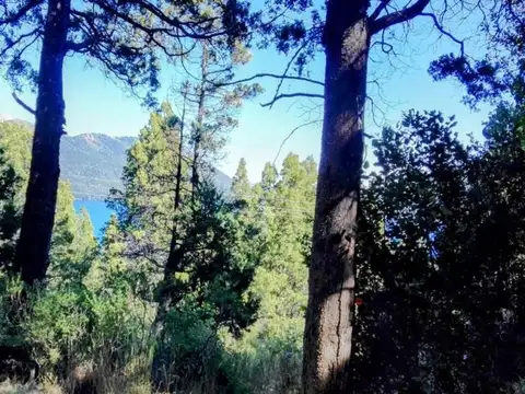 Fracción con vista al lago Gutierrez y Cerro Catedral