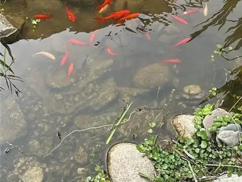 OFICINAS - PLANTA LIBRE - PILAR, GRAN BS. AS. NORTE