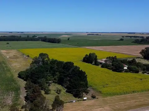 Ruta Provincial 88 100