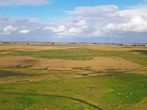 Loberia - 769 has. Mixto