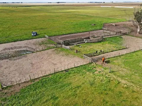 Loberia - 769 has. Mixto