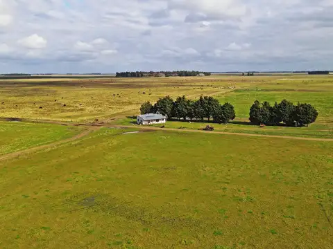 Loberia - 769 has. Mixto