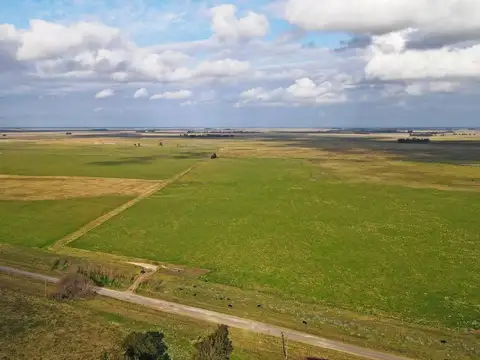 Loberia - 769 has. Mixto