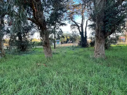 Calle 483 entre calle 40 y 42