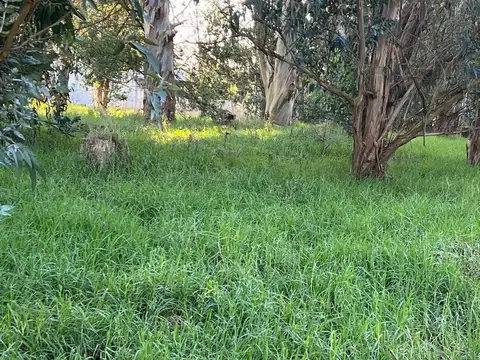 Calle 483 entre calle 40 y 42