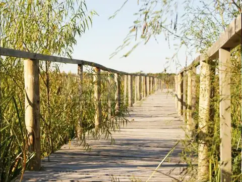 Terreno en Venta de 10908,0 m2