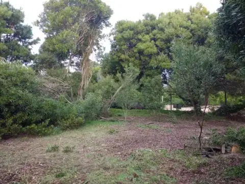 Terreno en Venta de 1245,0 m2