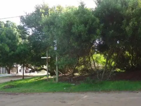 28 e/ Copacabana y Viña del Mar