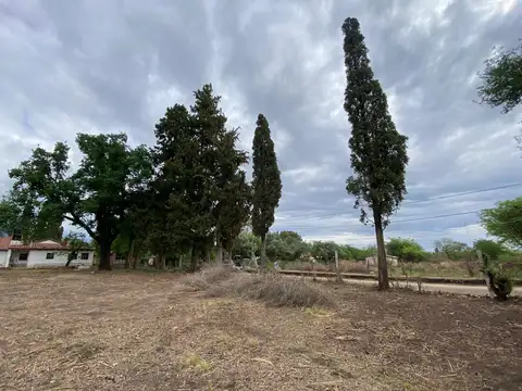 Terreno en Venta de 541,0 m2