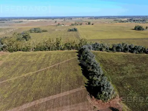 Terreno en Venta 32  mts Frente