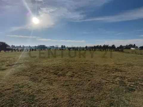 Ugarteche 500, Piso 0