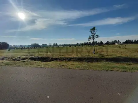 Ugarteche 500, Piso 0