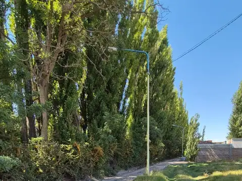 Venta Lote Rincón De Valle, Centenario