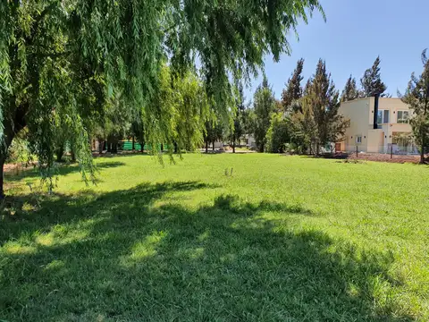 Terreno en Venta de 1290,0 m2