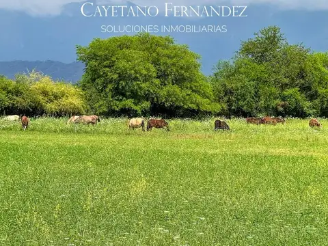 Vendo hermosa finca en Guachipas / Salta