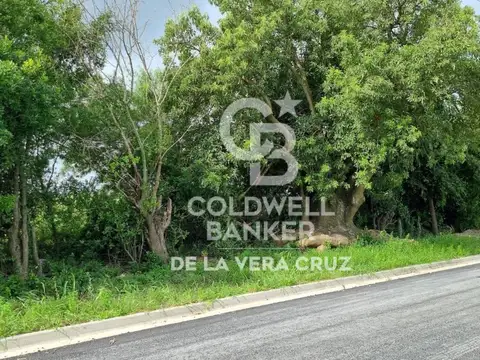 Terreno en Venta 15  mts Fondo