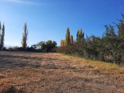 Terreno en Venta de 5394,0 m2