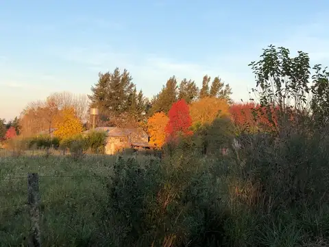 Terreno en Venta en Campana, USD 260.000