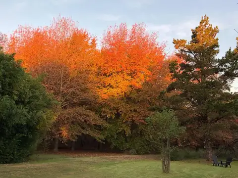 Terreno en Venta de 10000,0 m2