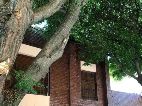 Casa en venta - 2 dormitorios 2 baños - 260mts2  - Las Flores