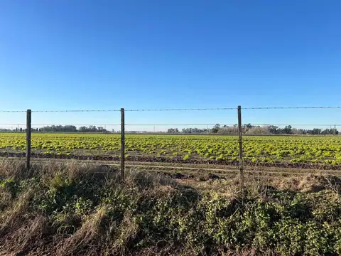 Av. Antonio San Juan y Areco
