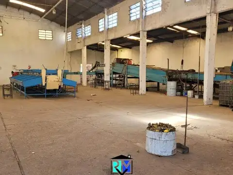 Galpón-Empaque ubicado a 1300 mts de acceso a Concordia