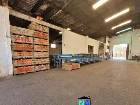 Rafael Obligado  1209