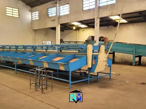 Galpón-Empaque ubicado a 1300 mts de acceso a Concordia