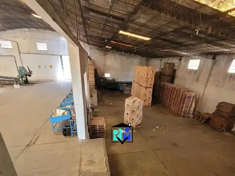 Rafael Obligado  1209