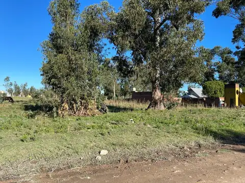 Terreno en Venta de 400,0 m2