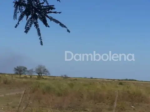 Terreno Campo  en Venta,  Santiago del Estero