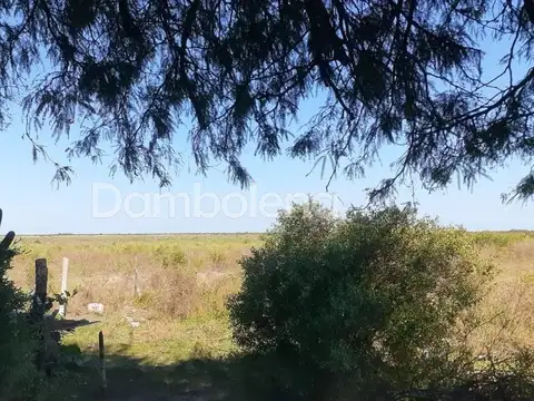 Terreno Campo  en Venta,  Santiago del Estero