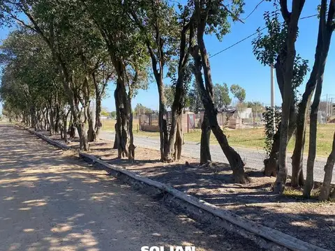 Barrio Abierto Tierra de Autores