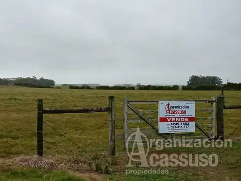 Terreno en Venta de 90000,0 m2